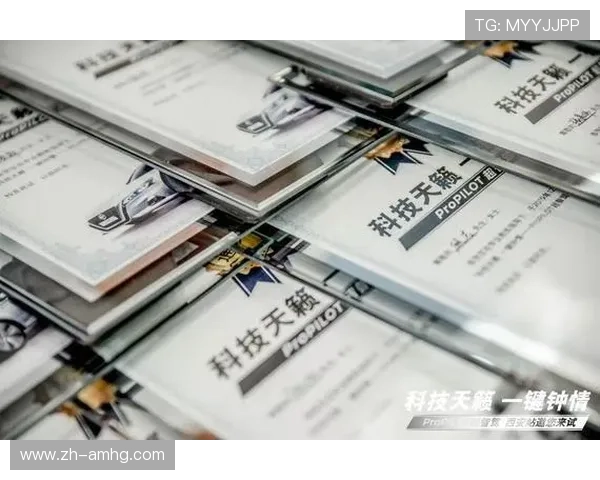 澳门黄金app网址官方登录入口，确保账号安全与游戏顺畅的最佳途径介绍